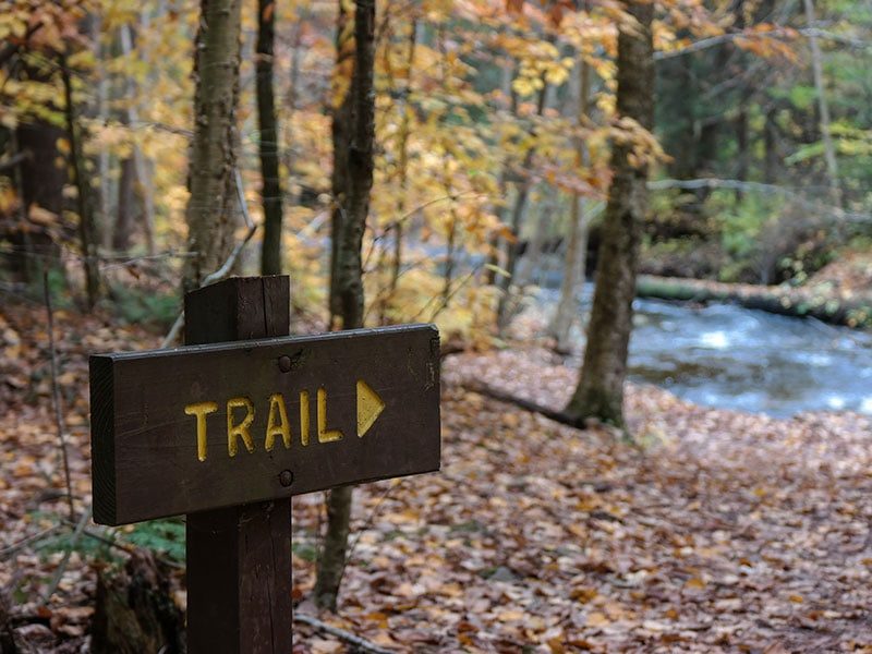 Trail sign in autumn forest near New River Gorge.
