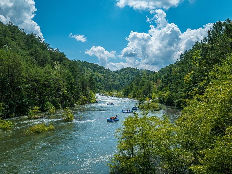 Rafting on the New River Gorge with lush green trees and blue sky.