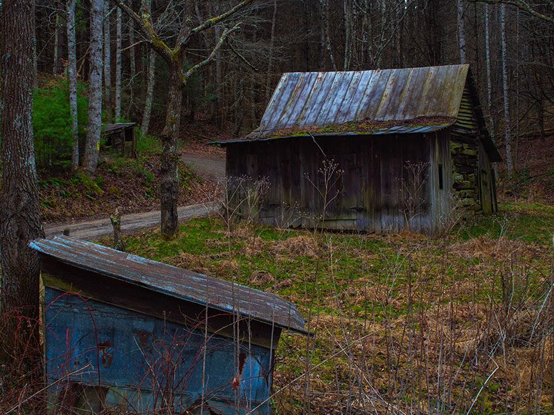 Old wooden cabin in a forested area of New River Gorge, West Virginia.