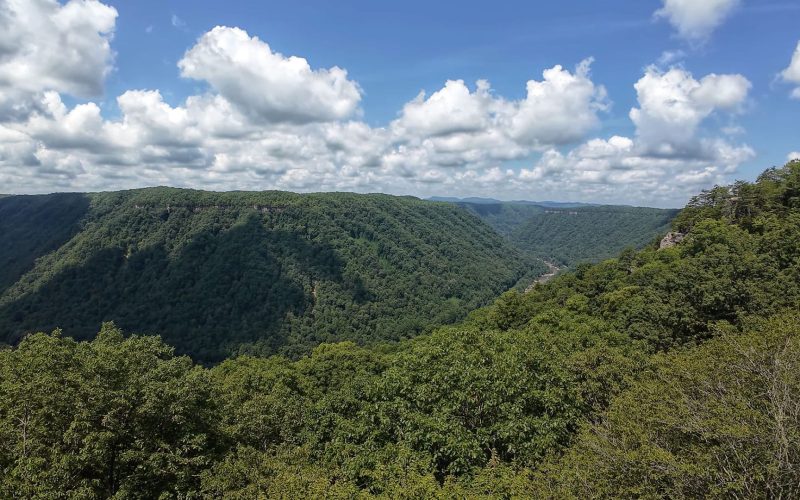 Panoramic view of lush green gorge and blue sky at New River Gorge.