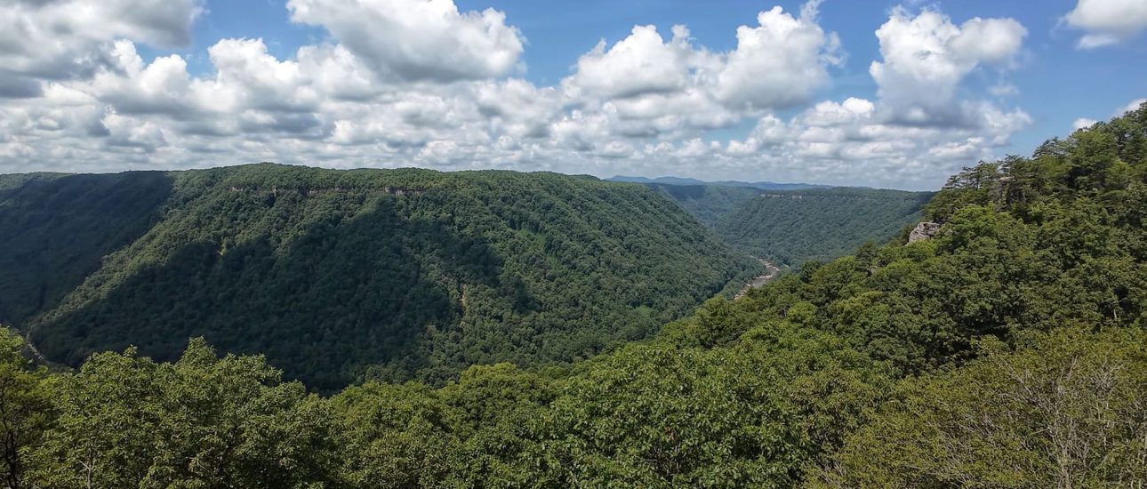 Panoramic view of lush green gorge and blue sky at New River Gorge.
